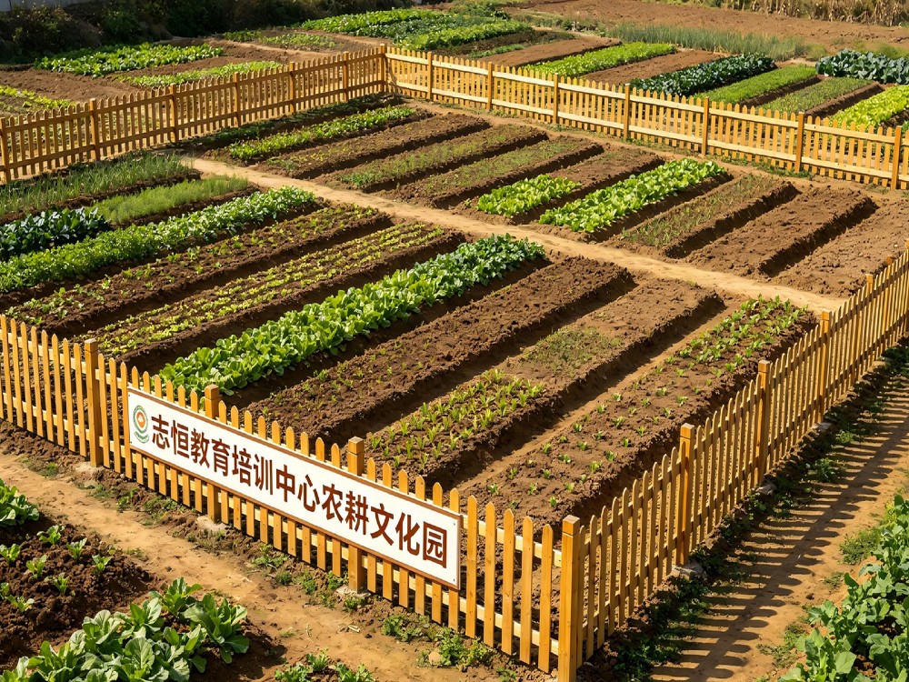 襄阳正规孩子叛逆管教学校具体位置与择校指南